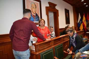 Pleno ordinario de febrero de 2020 (Foto TA)